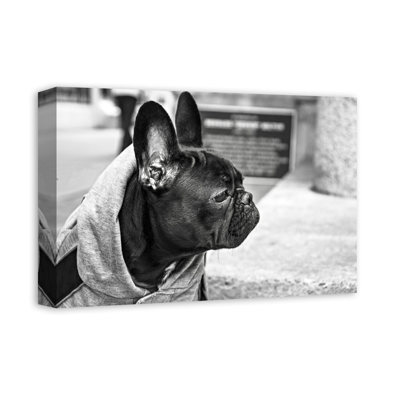 Photographie de chien-reproduction de photo sur toile tendue
