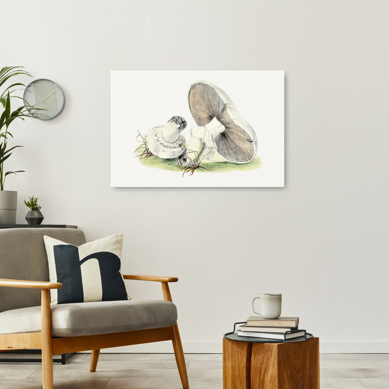 Illustration murale rétro vintage de cheval et champignon dessinée à la main, H 24 po x l 36 po