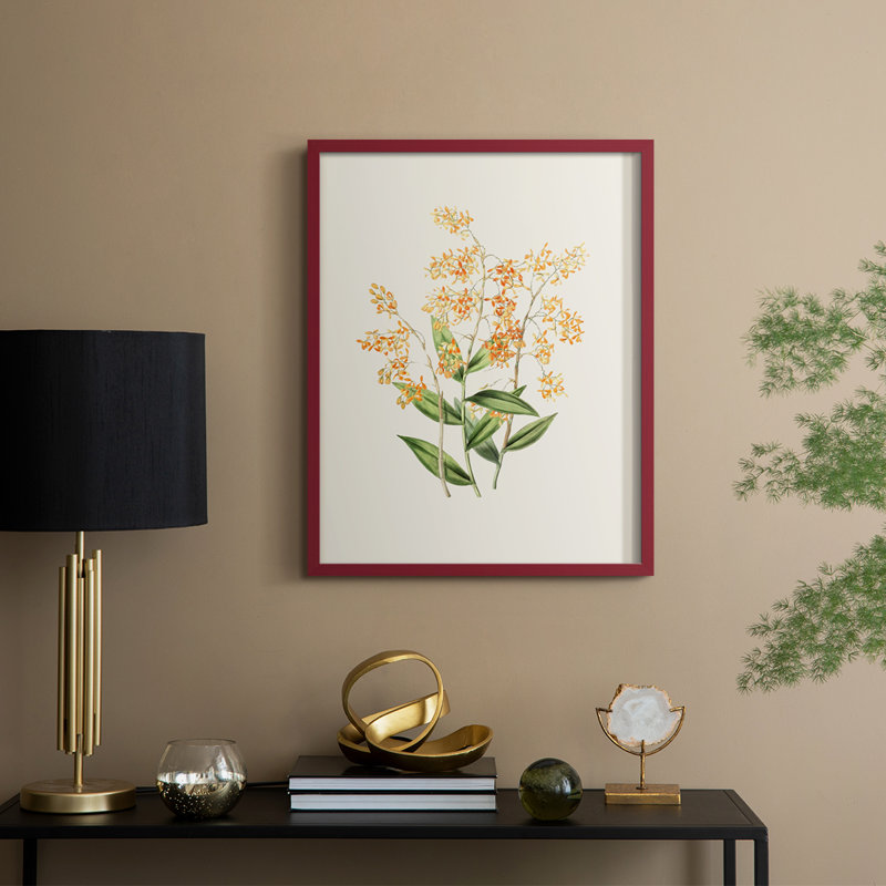 Impression florale vintage encadrée LXII - bois massif, H 15 po x l 12 po, Rouge