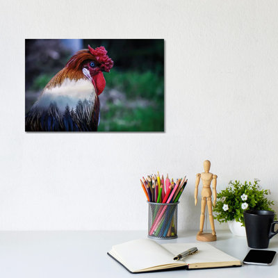 Rooster by Paul Haag - Print on Canvas