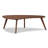 Aajon Solid Wood Top Single Coffee Table