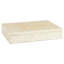 Triton Decorative Box-705942599-705942593