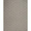 Geometric Area Rug in Beige