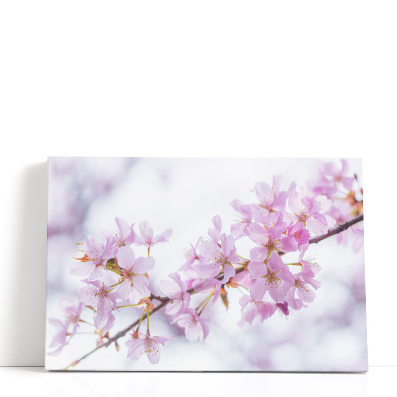 «Blossom II», reproduction d'art sur toile, H 20 po x l 30 po