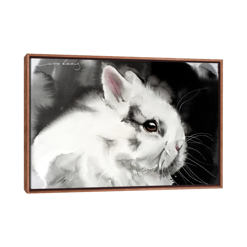 White Rabbit