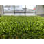 Gazon artificiel Mirage-88205230