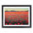 Black Framed selected