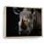 Brown Floater Framed