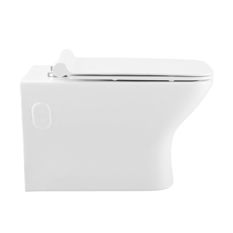 Carre Wall-Hung Elongated Toilet Bowl, White