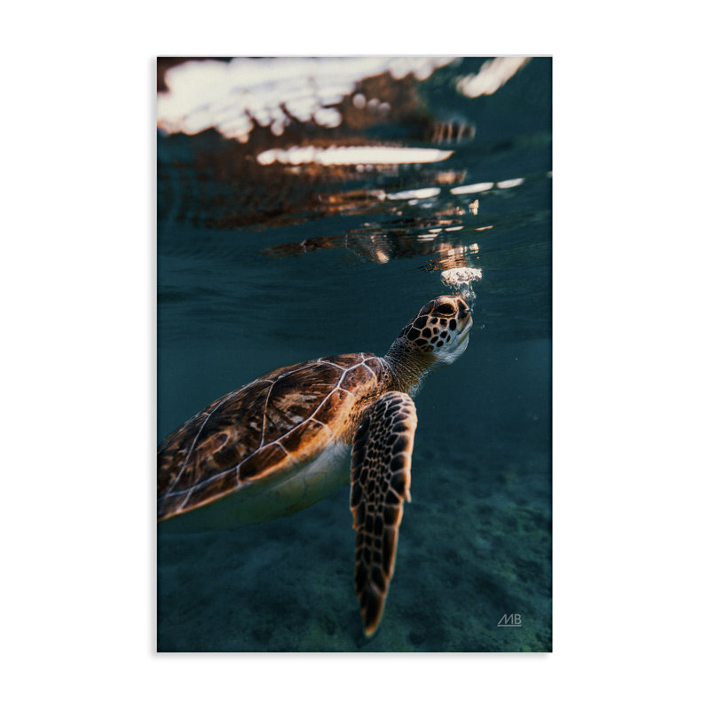 «Blowing Bubbles Turtle» par Max Blakesberg Studios, H 24 po x l 16 po