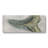 Watercolor Sharks Tooth IV- Gallery Wrapped Canvas -Ready to Hang-107360011