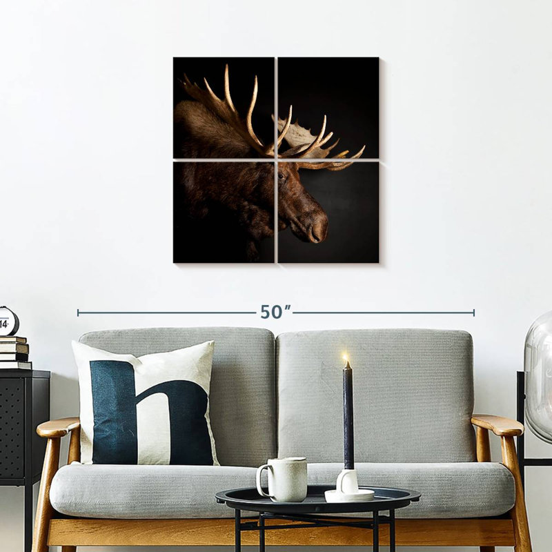 Brampt Antlered Moose, 26'' H x 26'' W