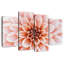 Fleur Harnek-108895471