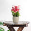 Nechama Lily Arrangement in Vase
