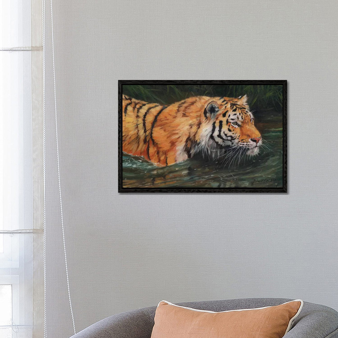 Amur Tiger River von David Stribbling - Galerie-umwickelte Leinwand Giclée auf Leinwand