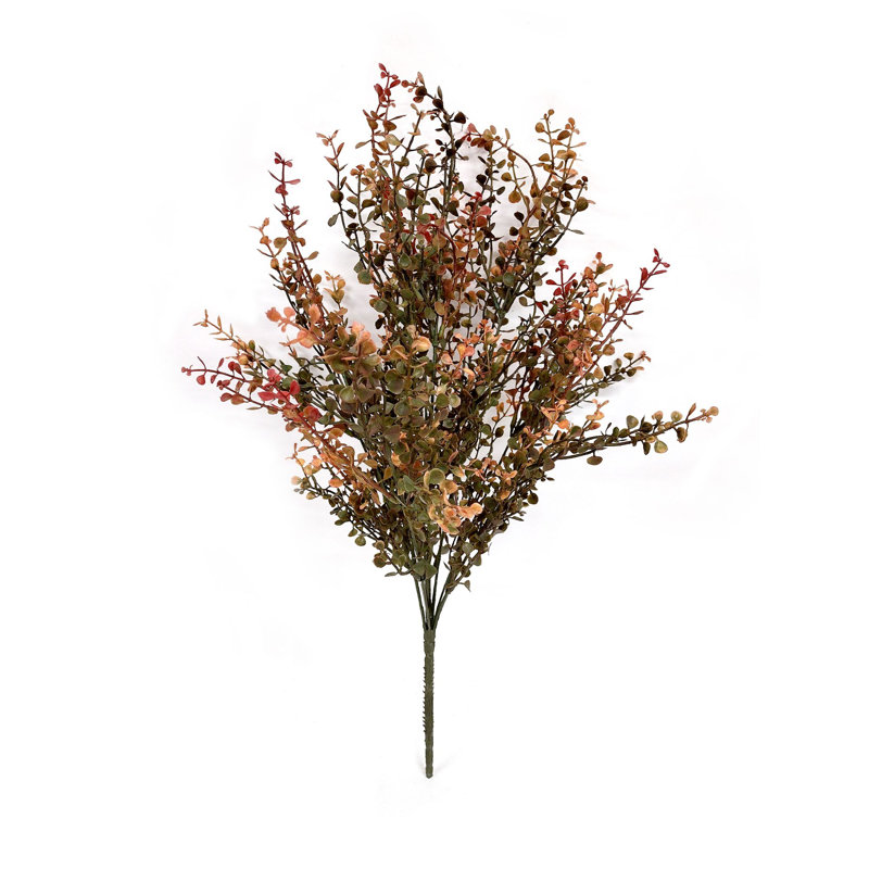 Delphinium rouge pour bébé