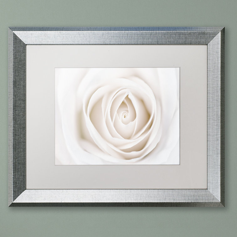 « white rose », reproduction de photo sur toile encadrée, H 11 po x l 14 po x P 0,5 po, argent