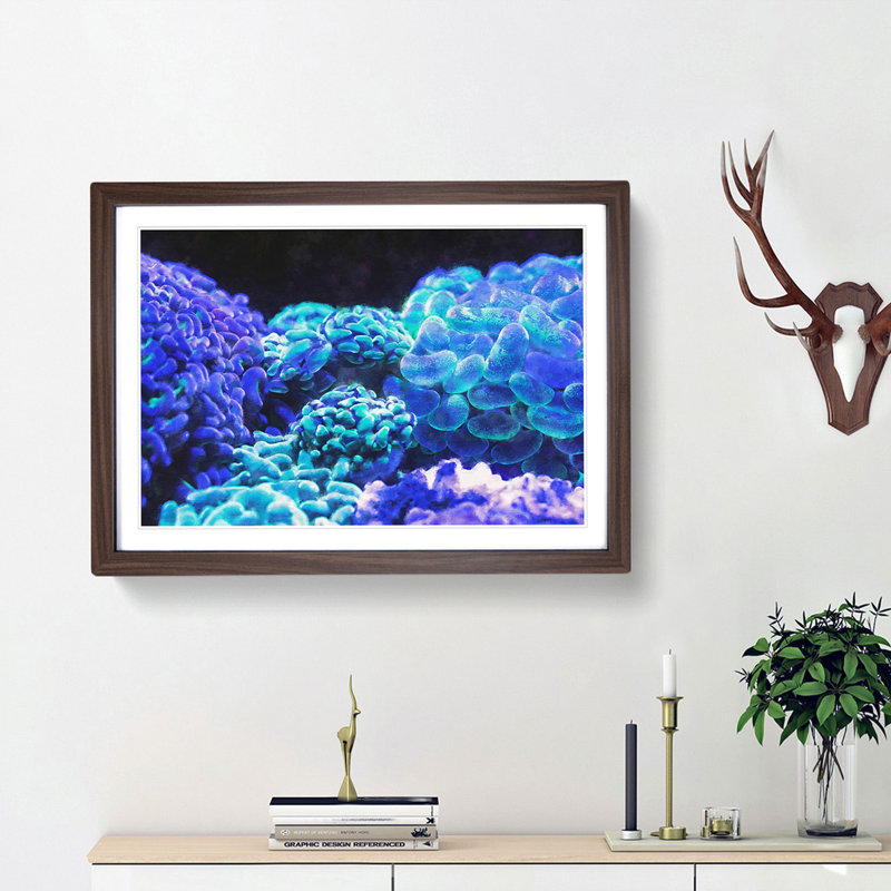 Neon Coral - Picture Frame Graphic Art Print, 45cm H x 63cm W x 2cm D, Walnut Framed