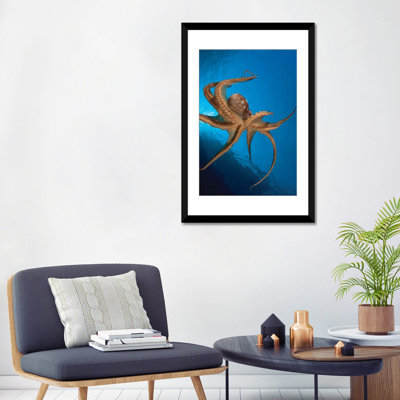 « view of the tentacle asdes on the day octopus (octopus cyanea) i », reproduction de photo sur toile