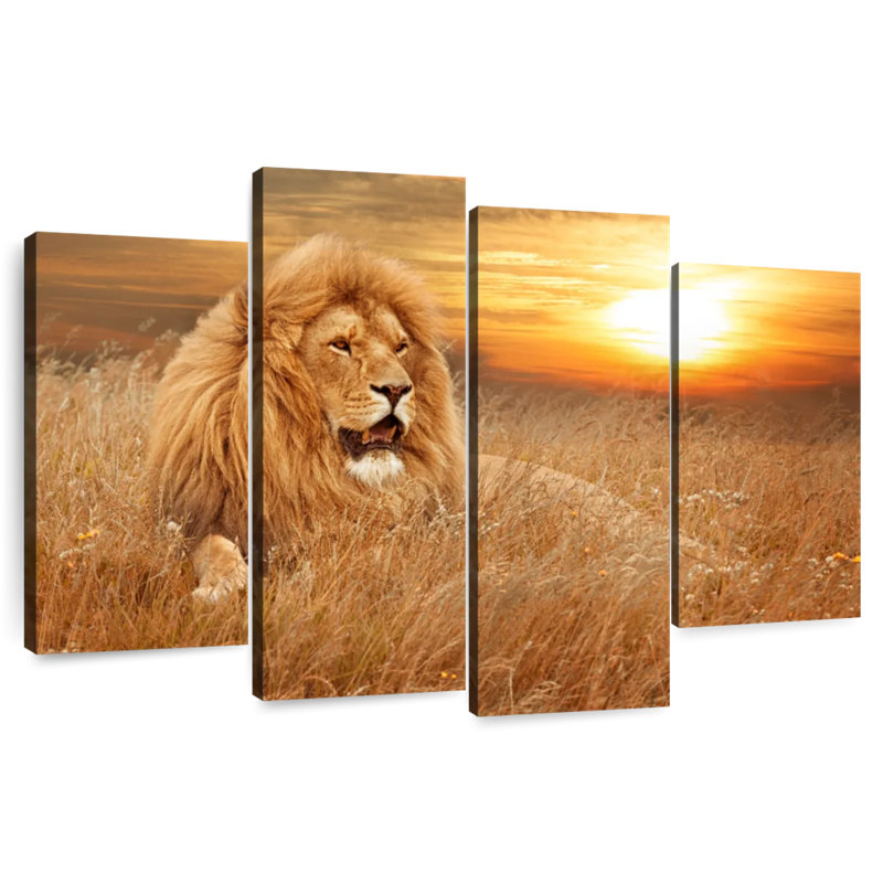 Brampt Safari Lion Sunset, 54" H x 84" W
