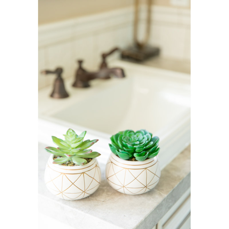 Ensemble de plantes grasses artificielles Gamache