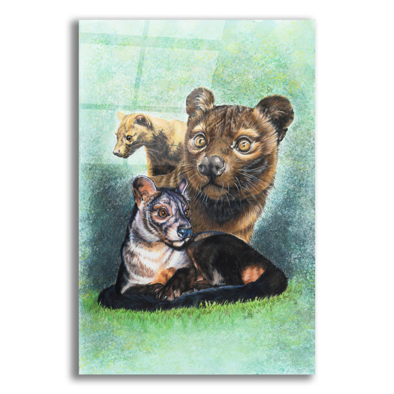 «Fossa» par Barbara Keith, impression sans cadre, H 16 po x l 12 po x P 0,13 po