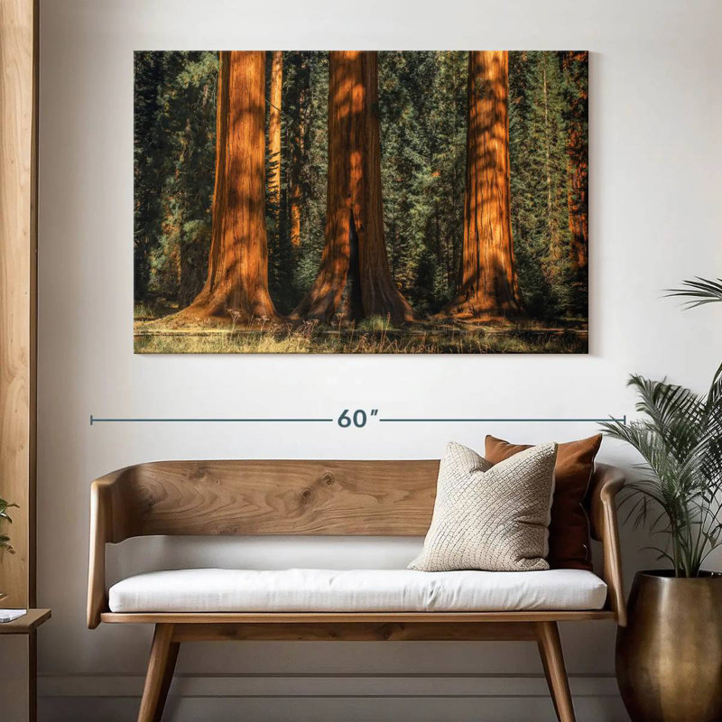 Harnek Sequoia Park's Ancient Trees, 34" H x 51" W