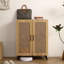 Armoire de rangement moderne et minimaliste pour chaussures