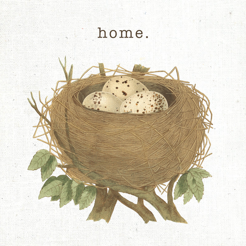 Spring Nest II Home, H 30 po x l 30 po x P 1,25 po