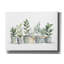 «Garden In Pots» par Svetlana Aleynikova, art mural sur toile-221770692