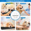 Table de toilettage réglable pour animaux avec structure en métal robuste en forme de H
