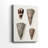 Cone Shell Collection I -Gallery Wrapped Cavas-2083979349