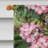 Double Sided Polyester Animal Garden Flag-16653249