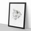 Sketch of a Cat by Jean Bernard - Picture Frame Drawing Print-55619489-55619494