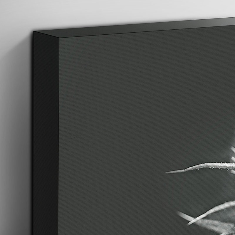 Thistle - Wrapped Canvas, 35cm H x 50cm W