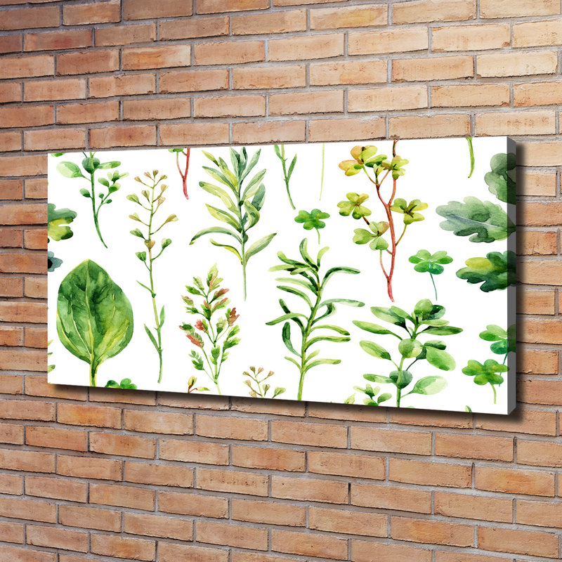 Herbs And Weeds - Wrapped Canvas Print