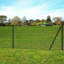 Green Wire/Mesh Fence-20842254-94539361