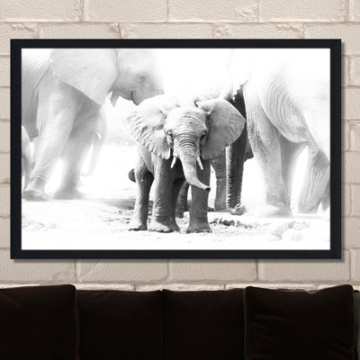 Single Picture Frame Photograph