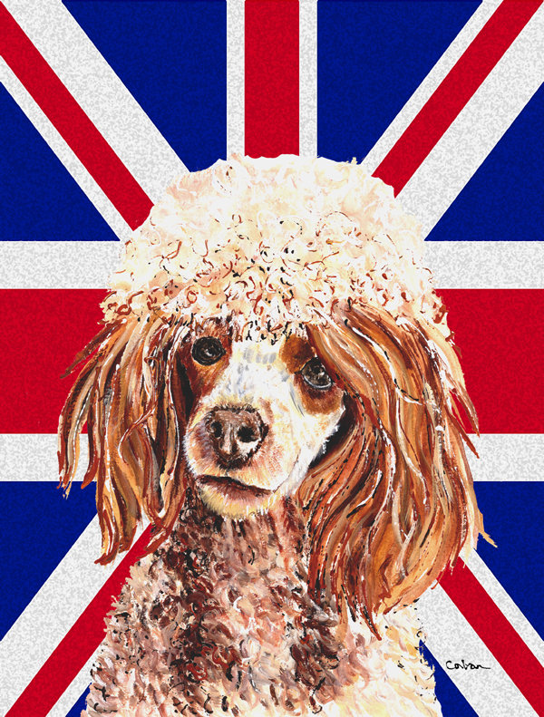 40 x 28 po en polyester britannique 2 faces english union jack drapeau maison, Caniche (brun)