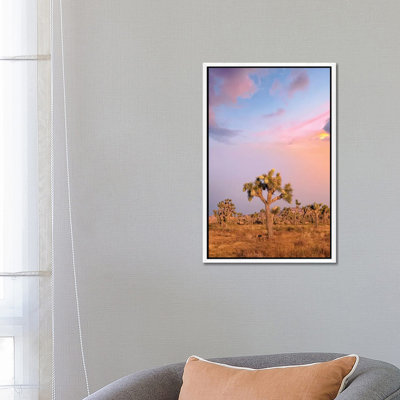 Lovely Sunset at Joshua Tree National Park 1 Piece Wall Art on Canvas