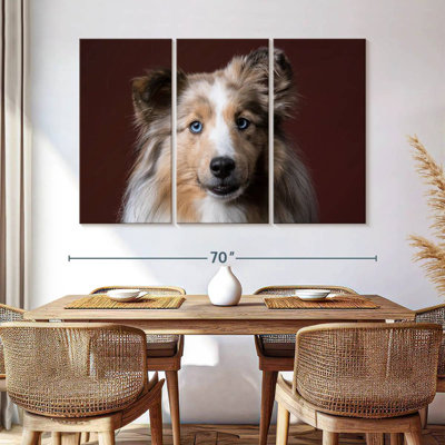 Adorable Sheltie Dog