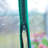 Waldron 1.4m W x 1.4m D Greenhouse