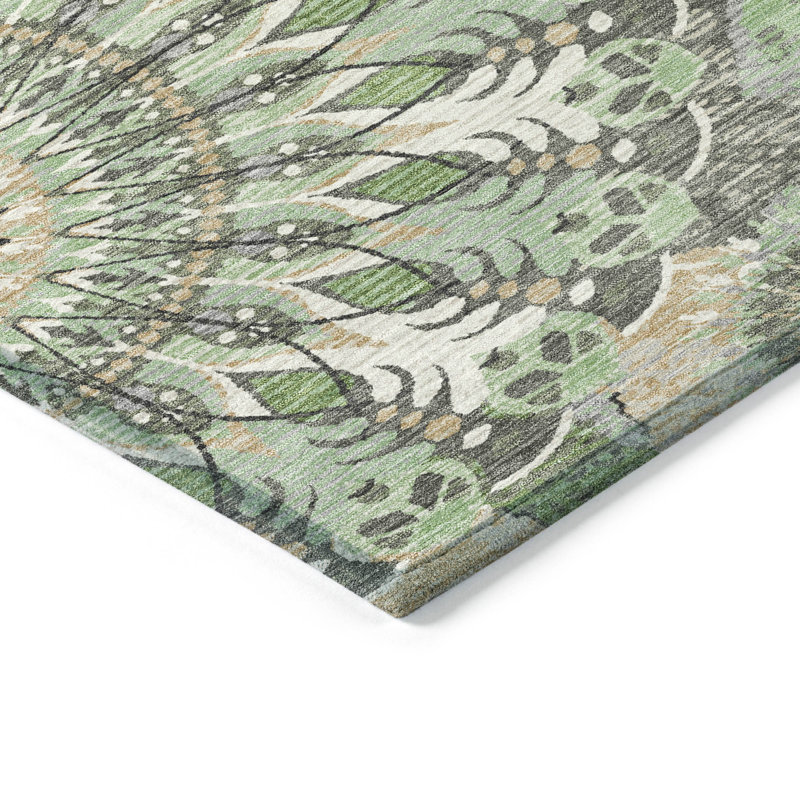 Machine Washable Indoor/Outdoor Chantille ACN2335 Paisley Rug, Rectangle 5' x 7'6"