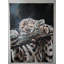 Leopard Painting by Diego Cespedes Cabrera.