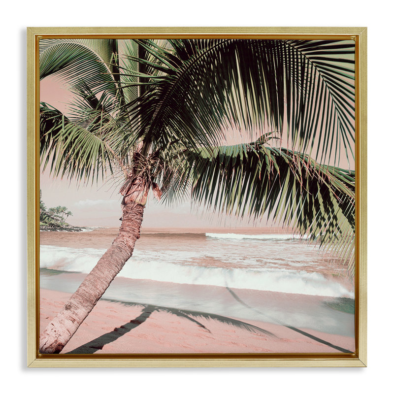 Palmier, ombre sur le sable, encadrée par Danita Delimont, Cadre flottant métallique doré, H 25 po x l 25 po