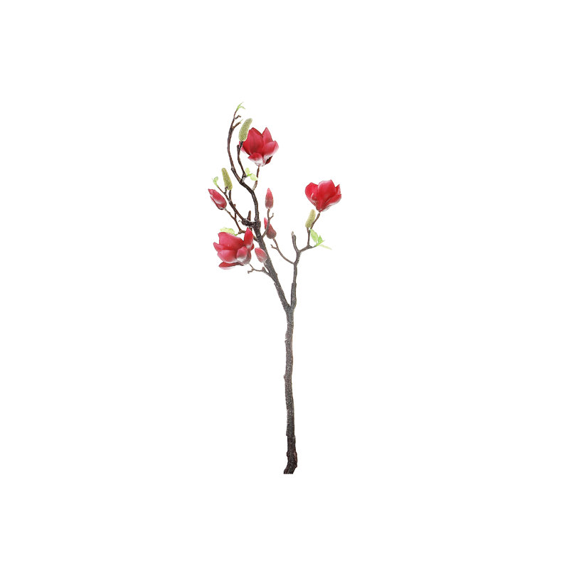 Magnolia grand jet rose, Rouge