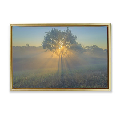 Toile flottante brillante et ensoleillée par Marty Hulsebos