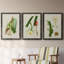 «Elegant Tropicals I», ensemble de 3 reproductions d'art sur toile-530225525-530225534