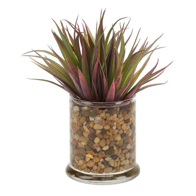 Ananas succulent dans un petit pot de bougie en verre