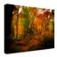 «Deep Woods» par Garv, reproduction de photo sur toile tendue-30365564